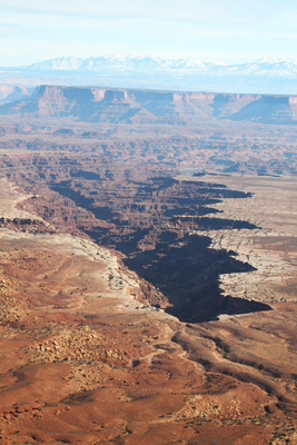 Hidden Nature- Canyonlands NP- White Rim